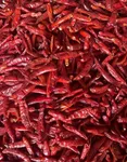Dried Red Chili Peppers