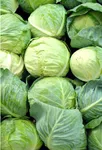 Fresh Cabbage