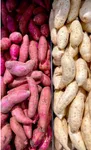 Organic Sweet Potatoes