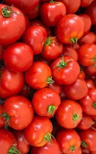 Fresh Tomatoes
