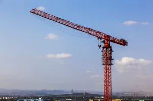 Tower Crane (Rental)