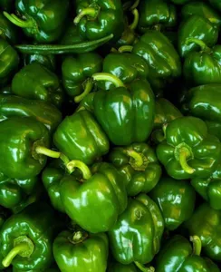 Crisp Green Bell Peppers