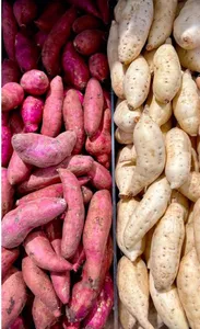 Organic Sweet Potatoes